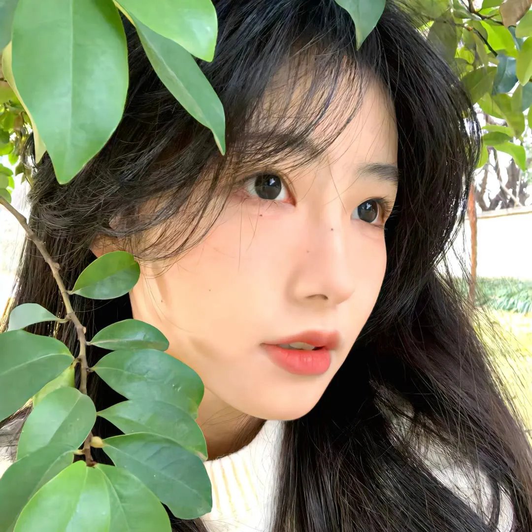 雾水总统